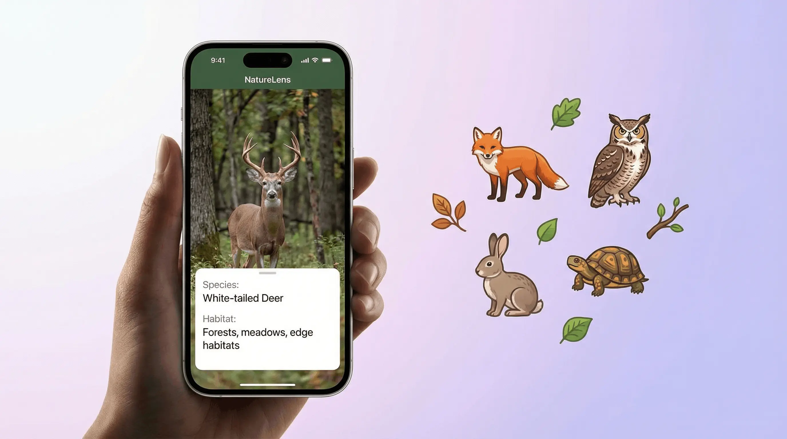 AI animal identifier app on iPhone analyzing an animal photo and returning species name and details