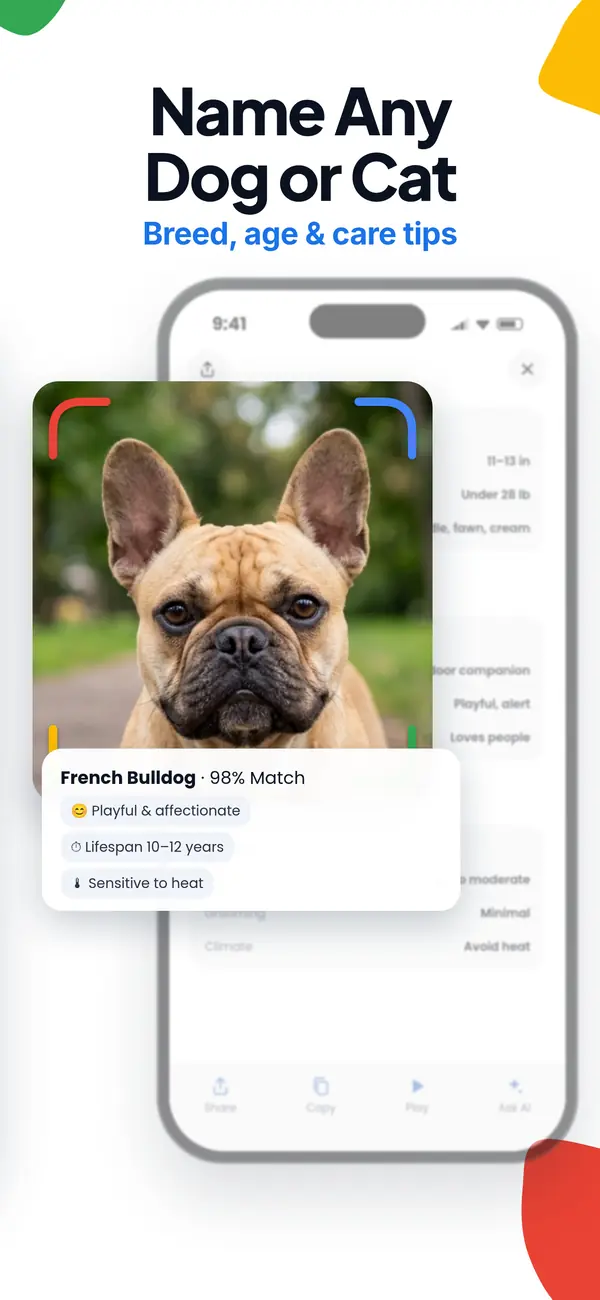 Lens AI app screen: name any dog or cat breed