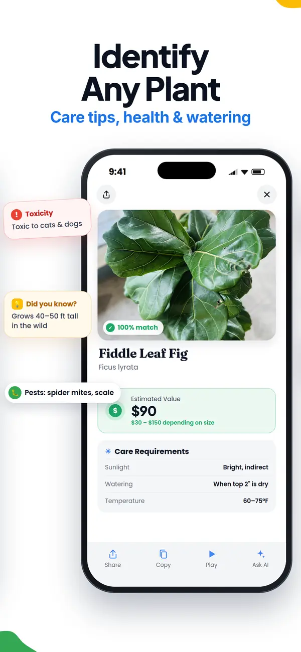 Lens AI app screen: identify any plant with care tips