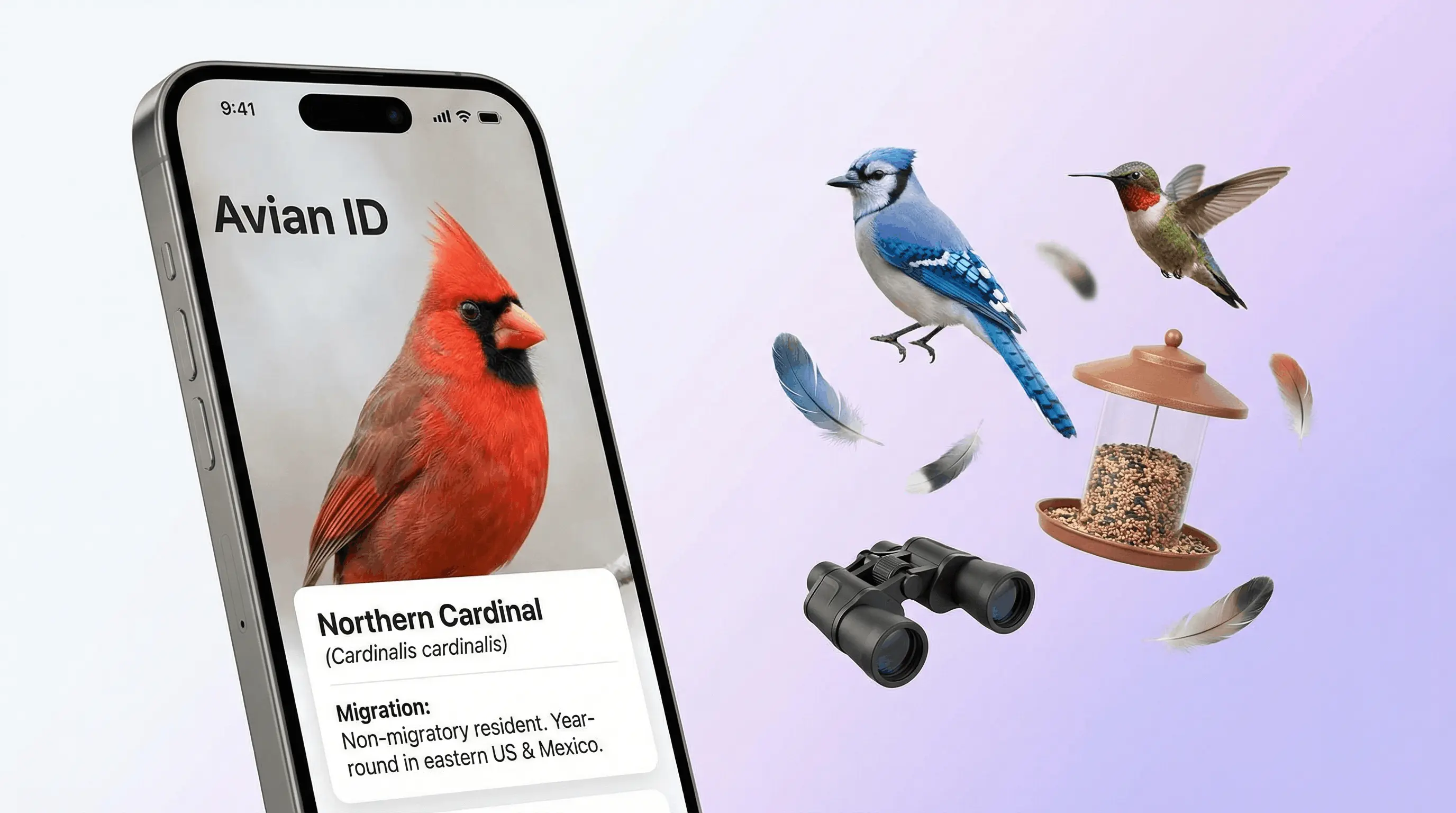 AI bird identifier app on iPhone analyzing a bird photo and returning species name and habitat info