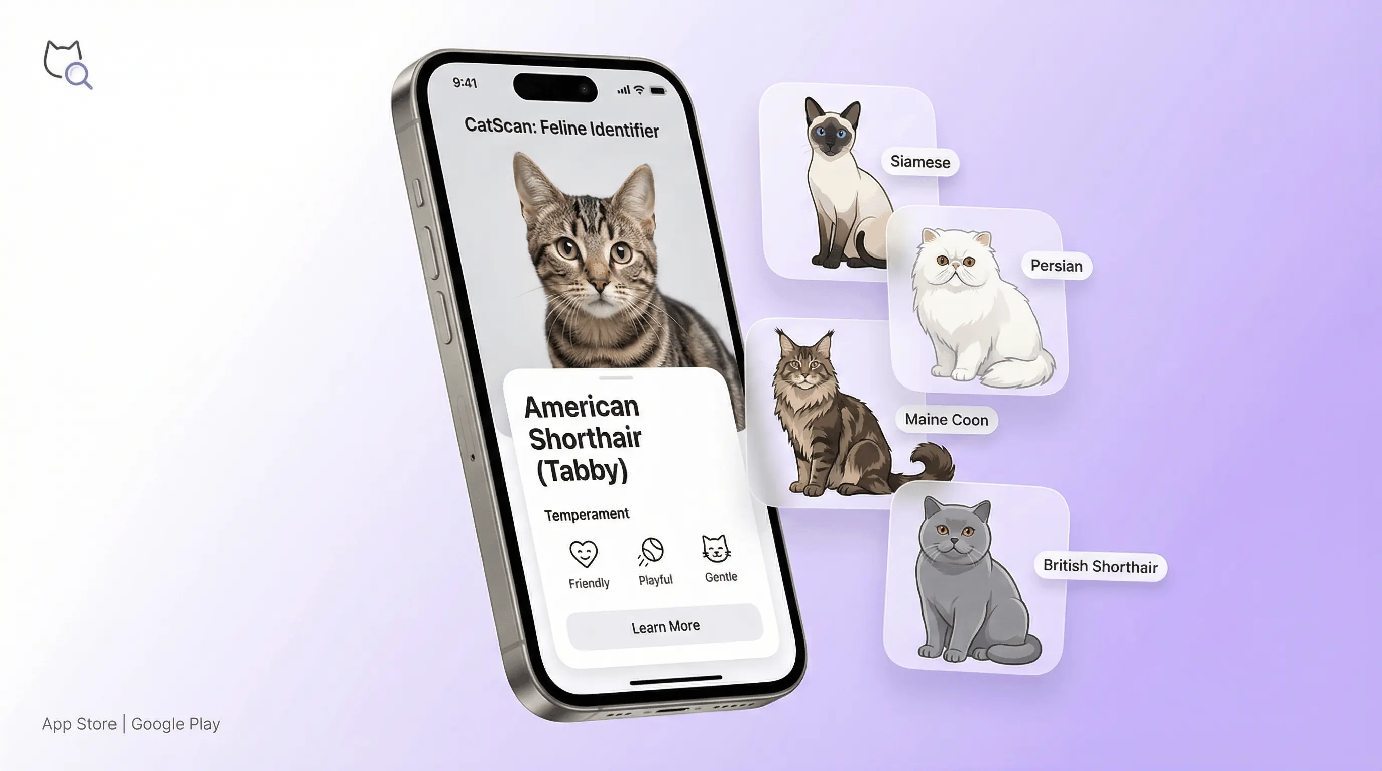 AI cat breed identifier app on iPhone analyzing a cat photo and returning breed name and personality