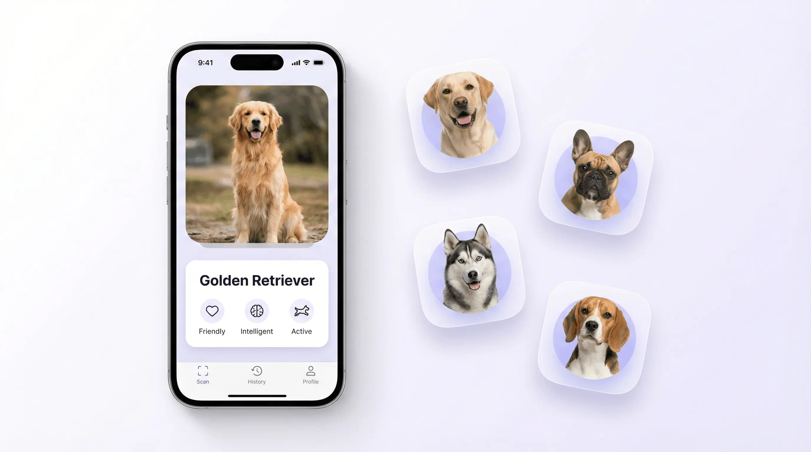 AI dog breed identifier app on iPhone analyzing a dog photo and returning breed name and traits