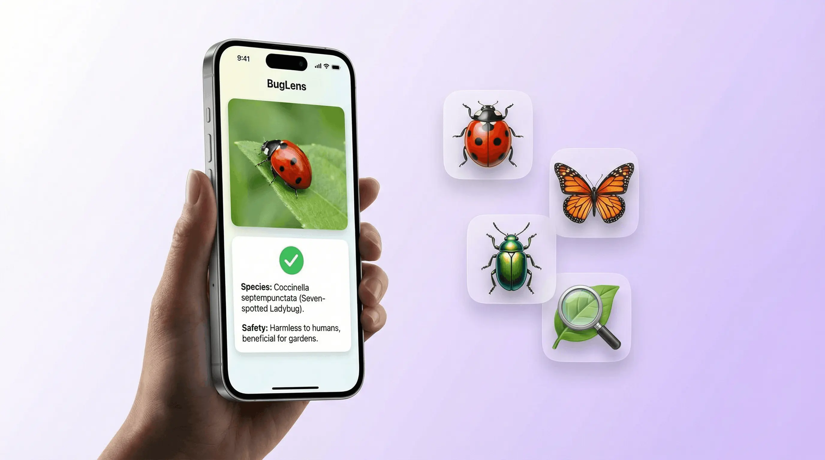 AI insect and bug identifier app on iPhone analyzing a beetle and returning species name and safety info