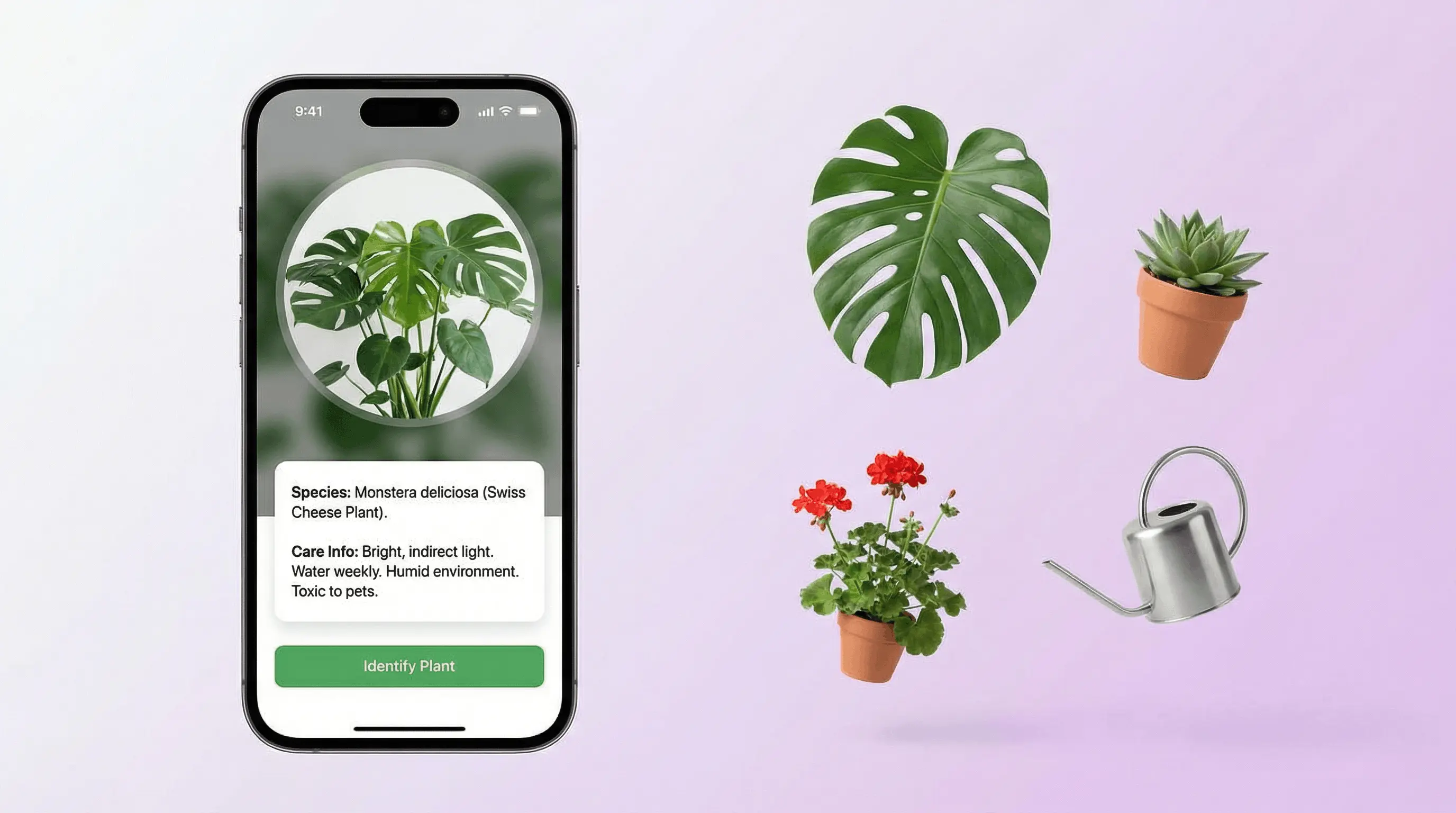 AI plant identifier app on iPhone analyzing a flower and returning the species name and care information